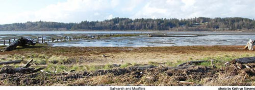 Ocean Shores fishing in Grays Harbor Ocean Shores fishing in Grays Harbor