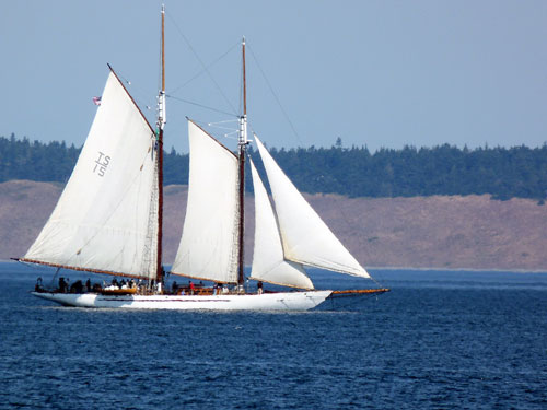 The Schooner Adventuress at the Port Townsend Wooden Boat Festival The Schooner Adventuress at the Port Townsend Wooden Boat Festival