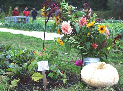 Volunteers run the Whidbey Island Garden Tours