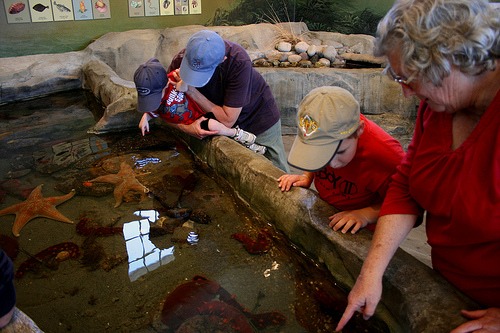 Marine Science Center, Port Townsend, WA