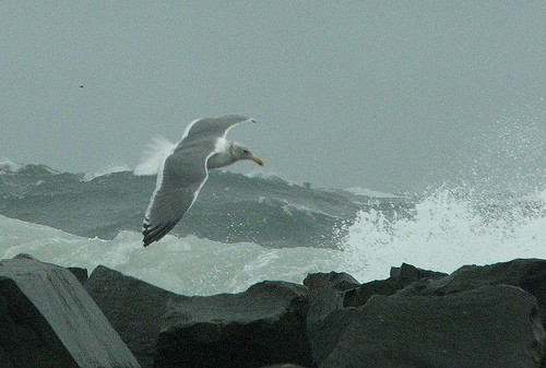 Ocean Shores, Washington