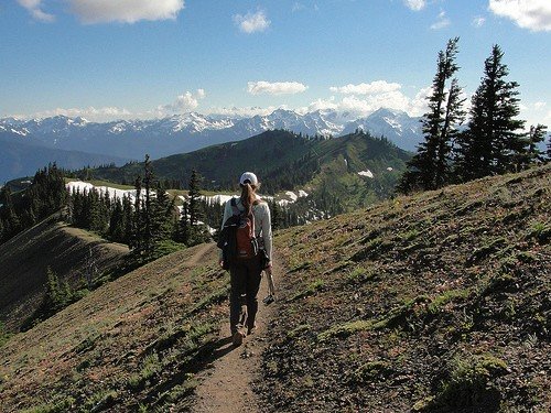 Olympic National Park, Washington State