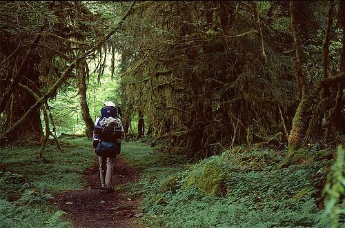 Olympic National Park, Washington State