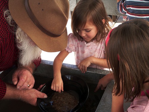 Can You Find Gold in Washington State?