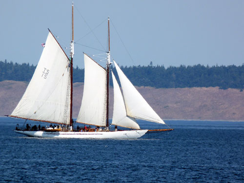 The Schooner Adventuress at the Port Townsend Wooden Boat Festival