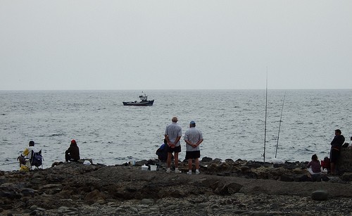 Sea Fishing in Washington State