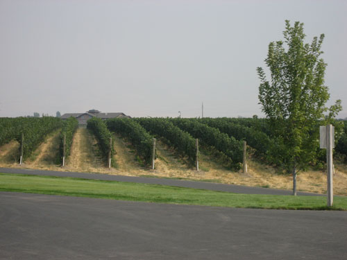 Washington State Wine Clubs